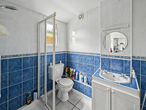 Photo 21- click for photo gallery